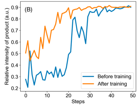 Optimization of the Synthesis of Ribose Phosphate after having optimized another reaction