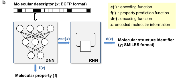 Architecture of the AI-based program