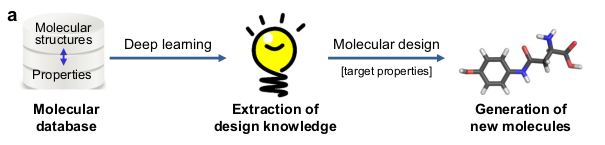 Concept of the study