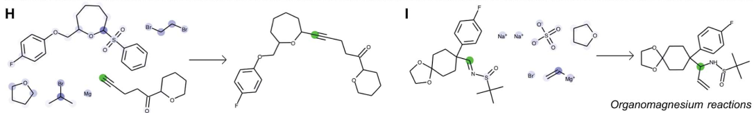 Two cases of reactions involving organomagnesium reagents