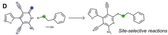 Example of a site-selective reaction